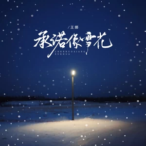 承诺像雪花（DJ京仔版）(伴奏)-王娜
