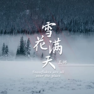 雪花满天-王娜