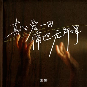 真心爱一回痛也无所谓-王娜
