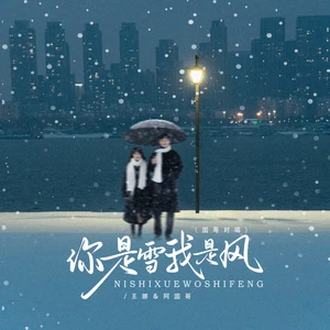 你是雪我是风（DJ京仔国粤对唱版）(伴奏)-王娜/阿国哥