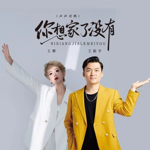 你想家了没有（声声对唱）-王振宇/王娜