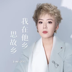 我在他乡思故乡-王娜