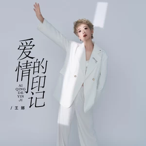 爱情的印记(伴奏)-王娜