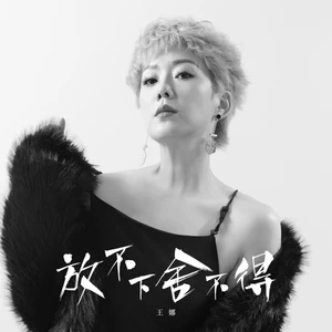 放不下舍不得(DJ版伴奏)-王娜