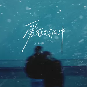 爱在冷风中 (哈市DJ小鹏)-王娜