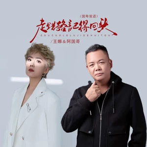 走错路记得回头（DJBanan国粤双语）-阿国哥/王娜