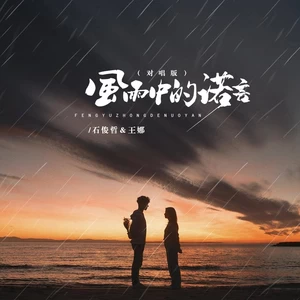 风雨中的诺言（对唱版）-王娜/石俊哲