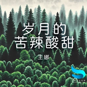 岁月的苦辣酸甜