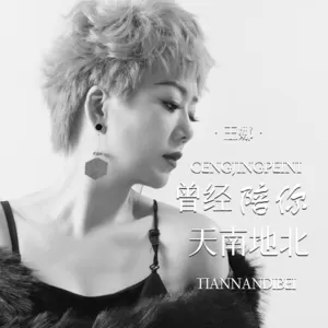 曾经陪你天南地北(DJ阿能版)