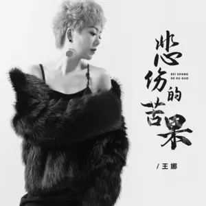 悲伤的苦果(DJ浩然版伴奏)