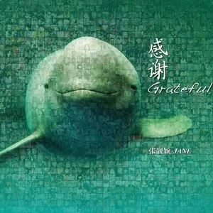 画心Ⅱ