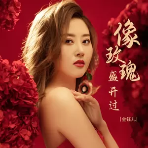 像玫瑰盛开过(DJ彭锐版伴奏)