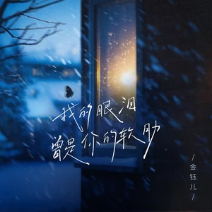 我的眼泪曾是你的软肋(DJ阿智版)