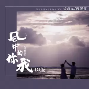 风中的你我(国粤DJ浩然版)-金钰儿/阿国哥