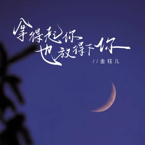 拿得起你也放得下你(走心版)-金钰儿