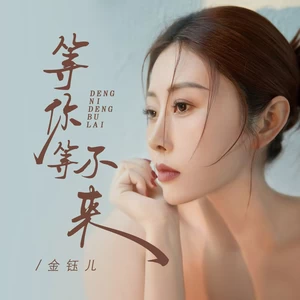 等你等不来(伴奏)-金钰儿