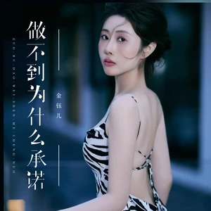 做不到为什么承诺-金钰儿