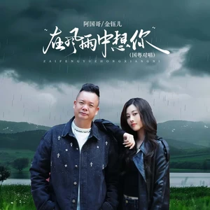 在风雨中想你（国粤对唱）-金钰儿/阿国哥