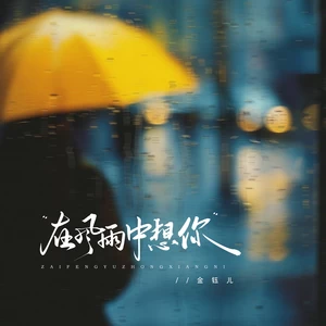 在风雨中想你-金钰儿