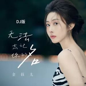 无法忘记你的名(DJ版)-金钰儿