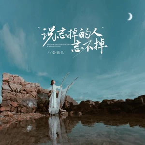 说忘掉的人忘不掉（DJBana版）(伴奏)-金钰儿