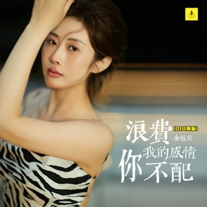 浪费我的感情你不配(DJ小刚版)