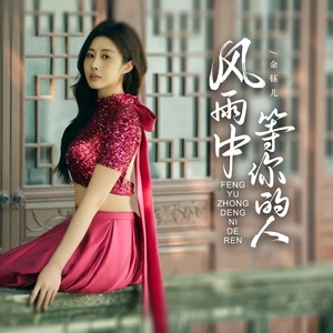 风雨中等你的人-金钰儿