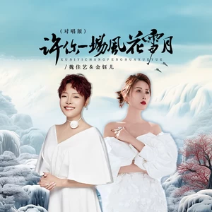 许你一场风花雪月（DJ京仔对唱版）-魏佳艺/金钰儿