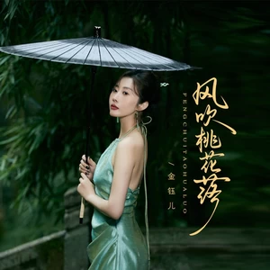 风吹桃花落（DJ嘉年华版）-金钰儿