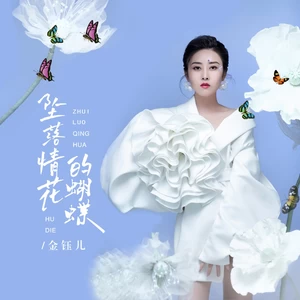 坠落情花的蝴蝶（DJBanan版）