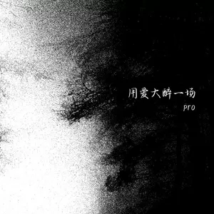 用爱大醉一场