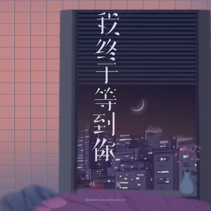 我终于等到你(伴奏)-任夏