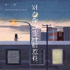 别在你寂寞时招惹我(DJEva版伴奏)-任夏