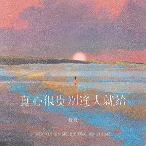 真心很贵别逢人就给(DJEva版伴奏)