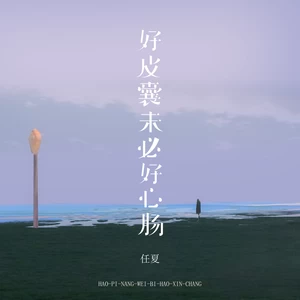 好皮囊未必好心肠(DJEva版)
