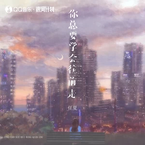 你总要学会往前走(DJ李想版伴奏)