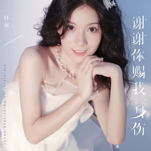 谢谢你赐我一身伤(伴奏)