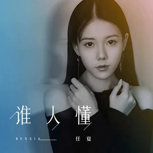 谁人懂(0.8x)