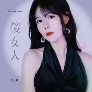 傻女人(伴奏)
