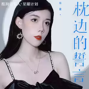 枕边的誓言(DJEva版)