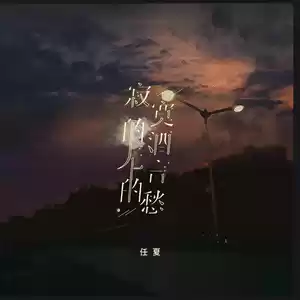 寂寞的酒无言的愁(伴奏)