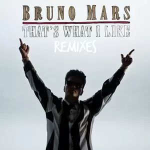 That’s What I Like (Alan Walker Remix)-Bruno Mars/Alan Walker