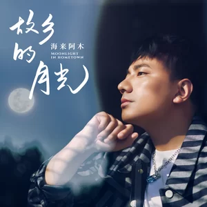 故乡的月光(DJ阿卓版伴奏)