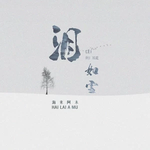泪如雪(DJ默涵版伴奏)